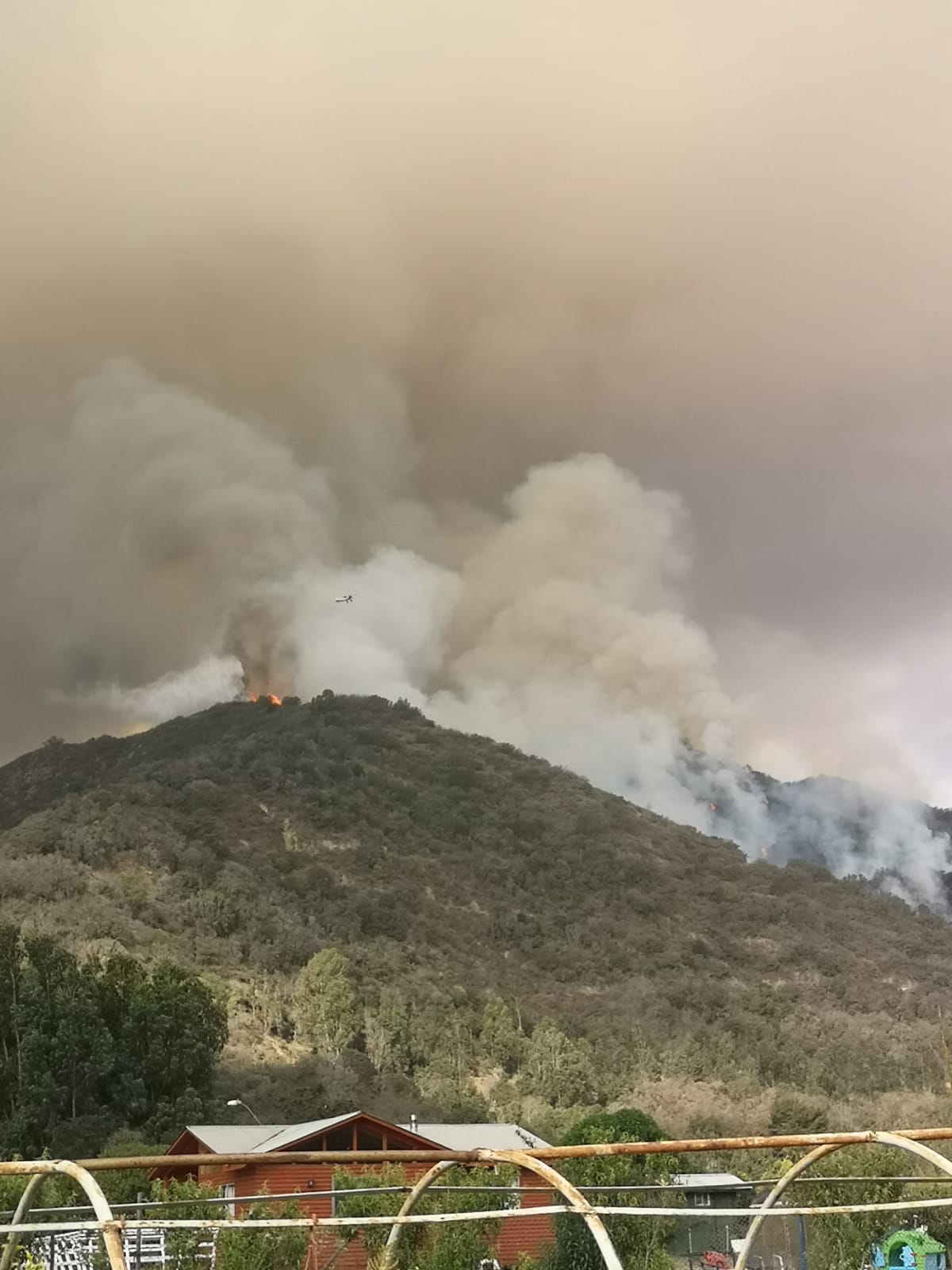 WhatsApp-Image-2022-01-15-at-19.02.50