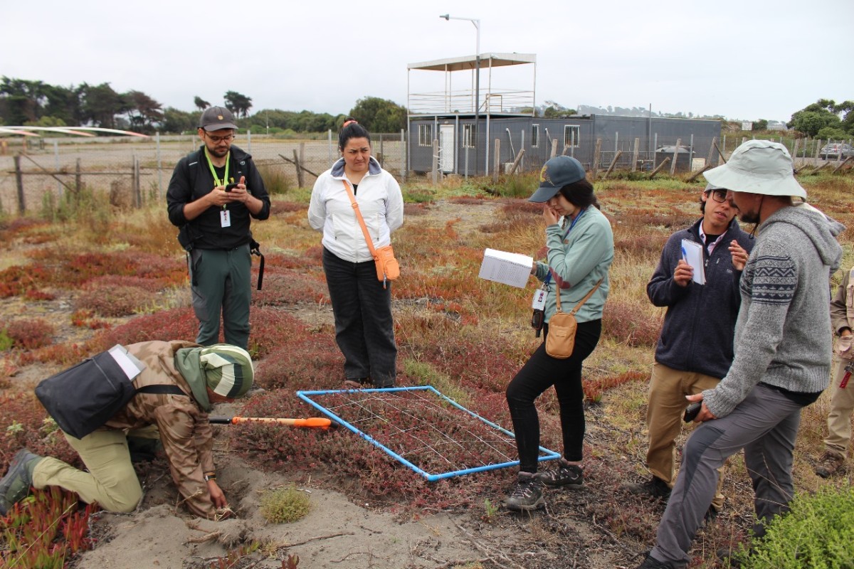 WhatsApp-Image-2024-01-26-at-18.52.16