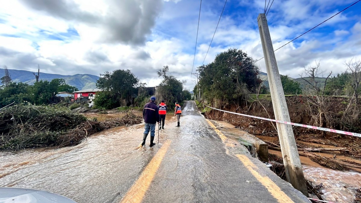 WhatsApp-Image-2024-06-23-at-15.54.04