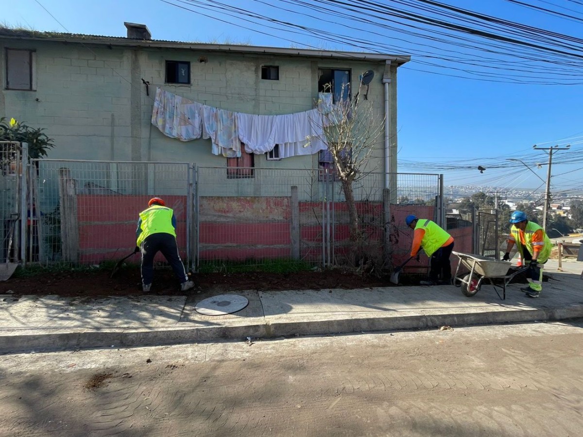 WhatsApp-Image-2024-07-25-at-12.52.53-PM