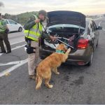 Autoridades refuerzan el llamado al autocuidado para estas Fiestas Patrias