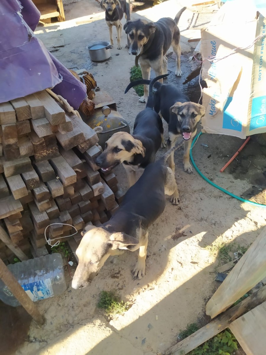 WhatsApp Image 2025-01-21 at 18.26.06