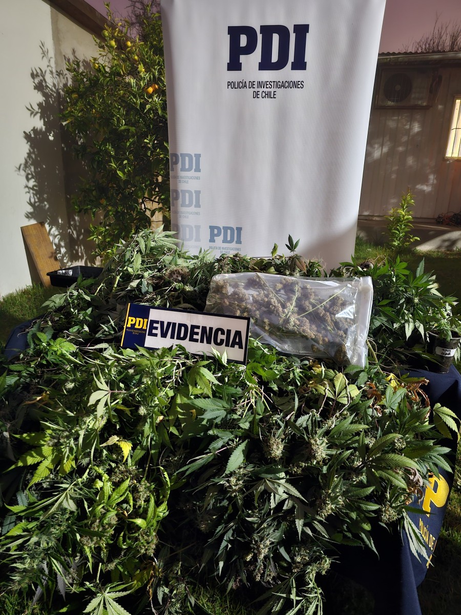 a71b0053-d33c-49f4-8d45-85905568e551