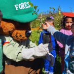 CONAF entregará 30 mil árboles para crear áreas verdes en zonas urbanas de la Región de Valparaíso