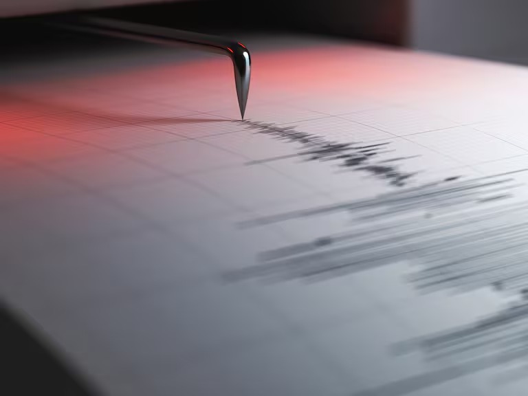 WhatsApp Image 2025-07-29 at 22.00.08