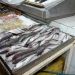 “Que no le vendan la pescá”: El 1 de septiembre comienza la veda de la merluza común