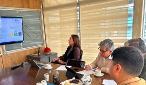 Revision-proyectos-Litoral-Sur-2