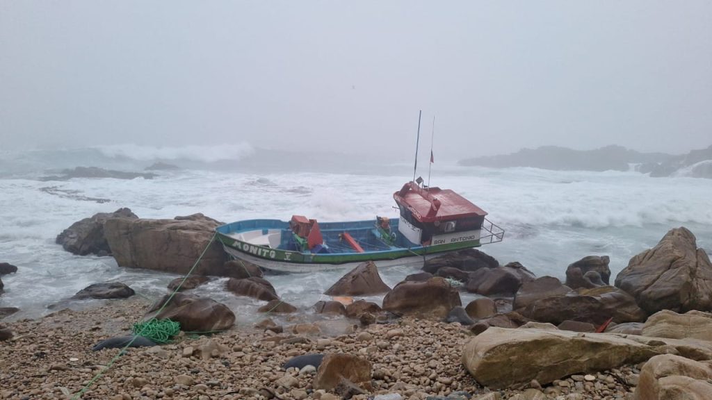 WhatsApp-Image-2025-10-02-at-10.11.21-AM