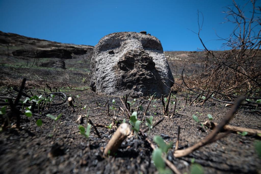 ©-UNESCO-Miguel-Carrasco.-Rapa-Nui-2023-2