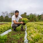 INDAP fortalece su presencia en Rapa Nui con nuevas obras de riego, asesorías técnicas y mejor infraestructura