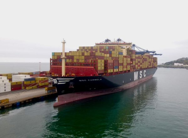 MSC-Carmela-escala-inaugural-en-Puerto-de-San-Antonio-San-Antonio-Terminal-Internacional-STI-600x442