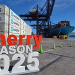 STI y Frutas de Chile dan inicio a temporada de cerezas con la mayor cantidad de servicios directos al Asia