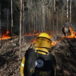 Alerta Temprana Preventiva para la Región de Valparaíso, exceptuando la provincia de Isla de Pascua y la comuna de Juan Fernández, por amenaza de incendios forestales