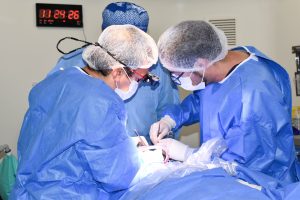 Imagen de WhatsApp 2025-12-12 a las 11.27.15_1cd7247d