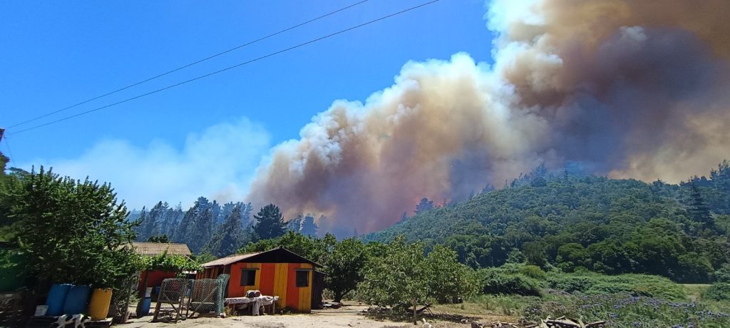 WhatsApp-Image-2025-12-17-at-10.34.02