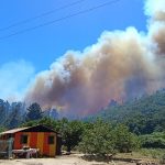 Última actualización: incendio forestal en Bucalemito en Santo Domingo se mantiene vigente, por lo que sigue la Alerta Roja para el sector