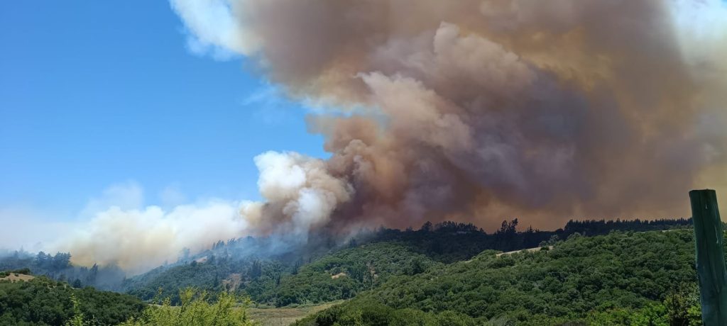 WhatsApp-Image-2025-12-17-at-10.54.22-1024x460