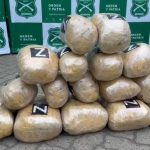 LLay LLay: Carabineros incautó más de media tonelada de marihuana en control carretero