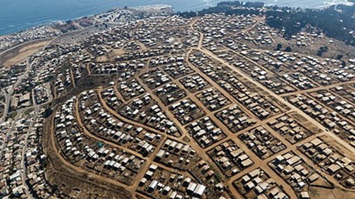 megatoma-san-antonio-1