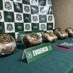 Tras control vehicular decomisan droga a pasajera de bus en Nogales