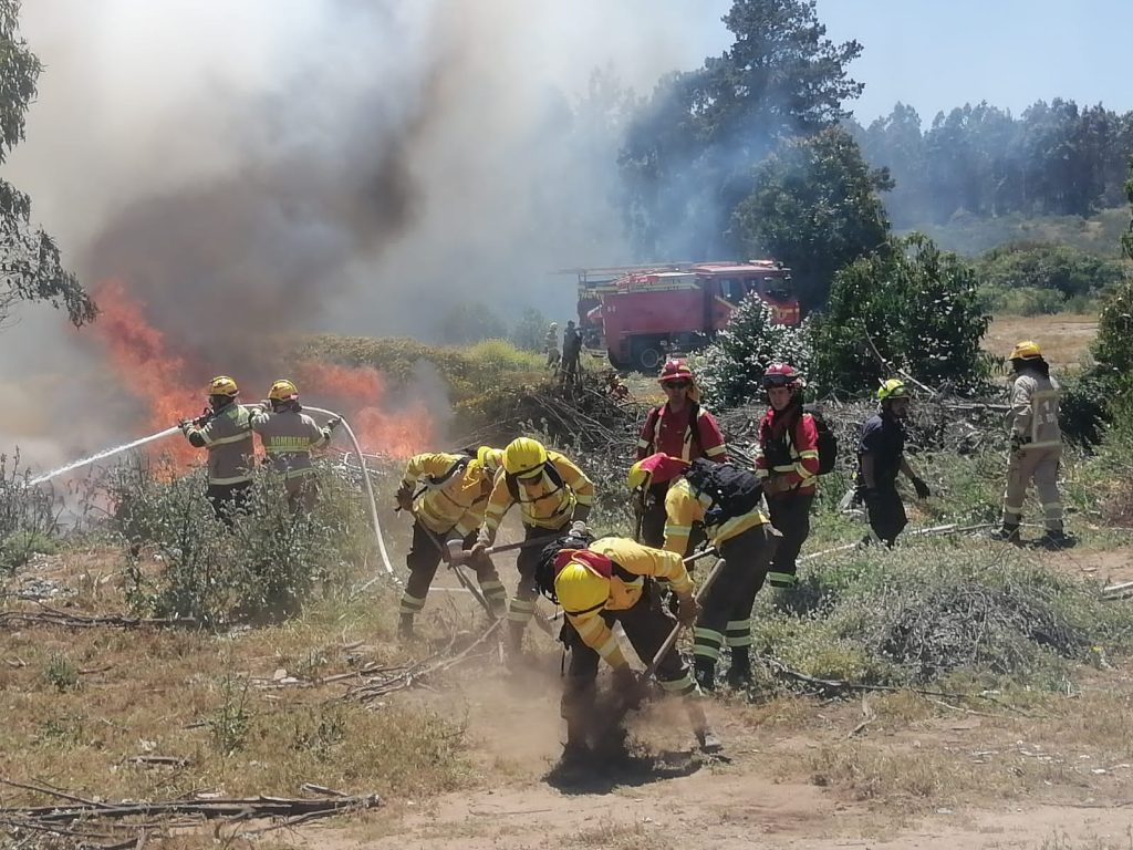 WhatsApp-Image-2026-01-15-at-15.13.19