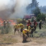 CONAF llama a prevenir incendios forestales ante altas temperaturas en la Región de Valparaíso