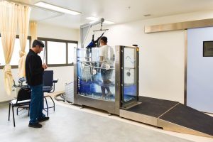 WhatsApp Image 2026-01-22 at 12.31.27