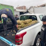 WhatsApp-Image-2026-01-24-at-11.48.00-AM-1024x768