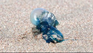 WhatsApp Image 2026-01-26 at 10.56.04