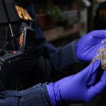 PDI Valparaíso desarticula foco de microtráfico en Plaza Echaurren