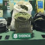 Cinco detenidos tras fiscalizaciones de Carabineros en Ruta 5 Norte