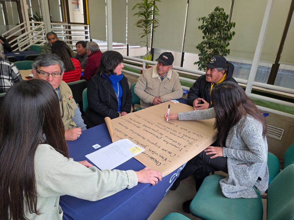 WhatsApp Image 2026-02-17 at 13.33.31