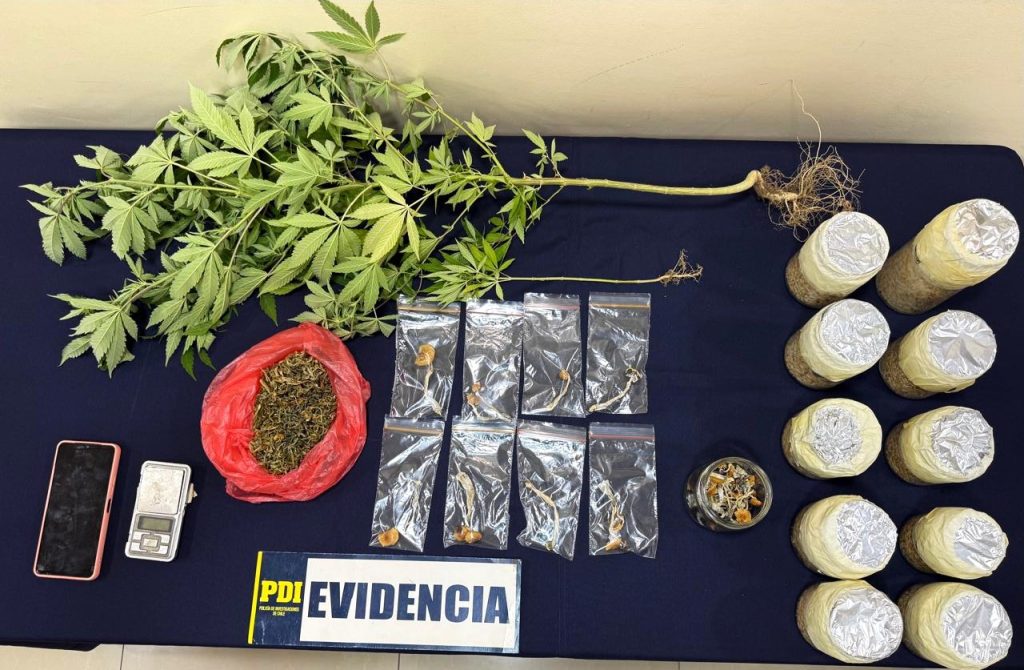 WhatsApp Image 2026-02-18 at 19.24.37