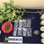 WhatsApp Image 2026-02-18 at 19.24.37