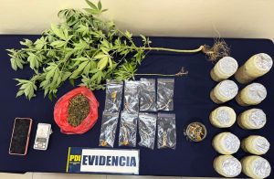 WhatsApp Image 2026-02-18 at 19.24.37