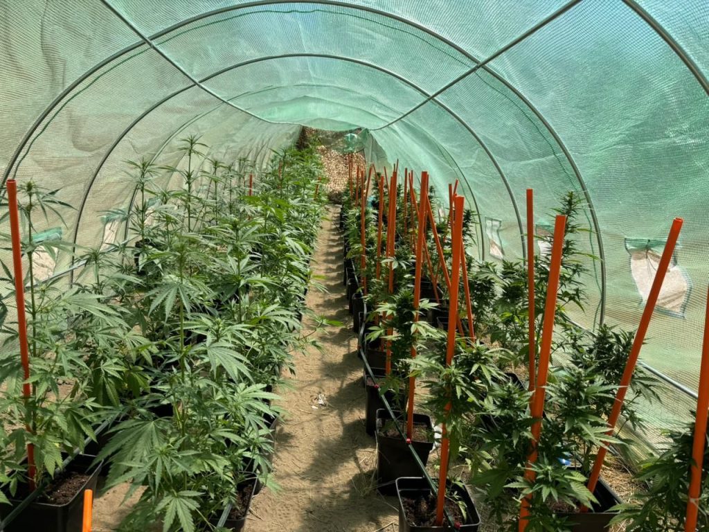 WhatsApp-Image-2026-02-27-at-8.22.04-AM