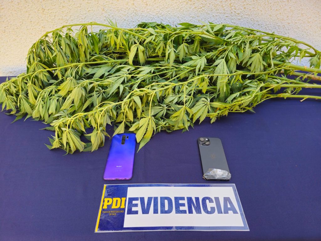 b2872c7e-2435-45df-acb9-2819d99d696d