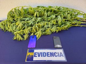 b2872c7e-2435-45df-acb9-2819d99d696d