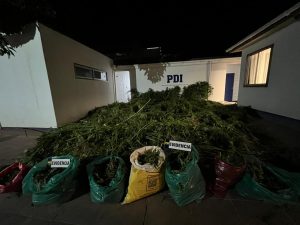 cf380e55-caeb-42f4-ae02-56046bcfd088