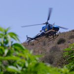 WhatsApp Image 2026-03-10 at 15.03.03