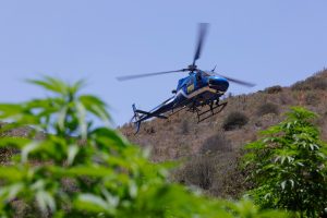 WhatsApp Image 2026-03-10 at 15.03.03