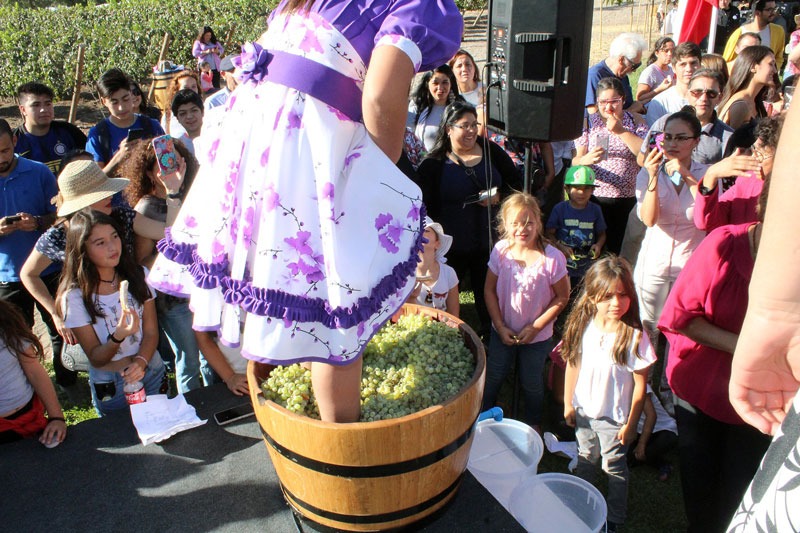 WhatsApp-Image-2026-03-17-at-09.13.00