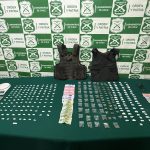 Carabineros desarticuló organización criminal y detuvo a cinco personas en Cartagena