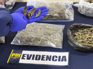 WhatsApp Image 2026-03-26 at 21.42.12