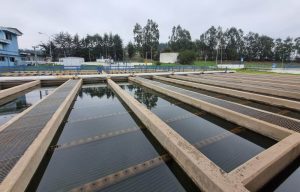 WhatsApp-Image-2026-03-31-at-09.54.11