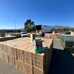 La Ligua: incautan más de 832 mil cajetillas de cigarrillos de contrabando en la Ruta 5 Norte