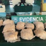 Nogales: pasajero de bus transportaba casi 15 kilos de marihuana