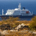 Primeros infectados por hantavirus estuvieron más de 20 días en Chile antes de tomar el crucero