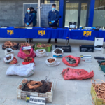 PDI LOS ANDES DETIENE A 20 INTEGRANTES DE UNA AGRUPACIÓN CRIMINAL DEDICADA AL ROBO DE CABLES Y BATERÍAS DE ANTENAS DE COMUNICACIÓN