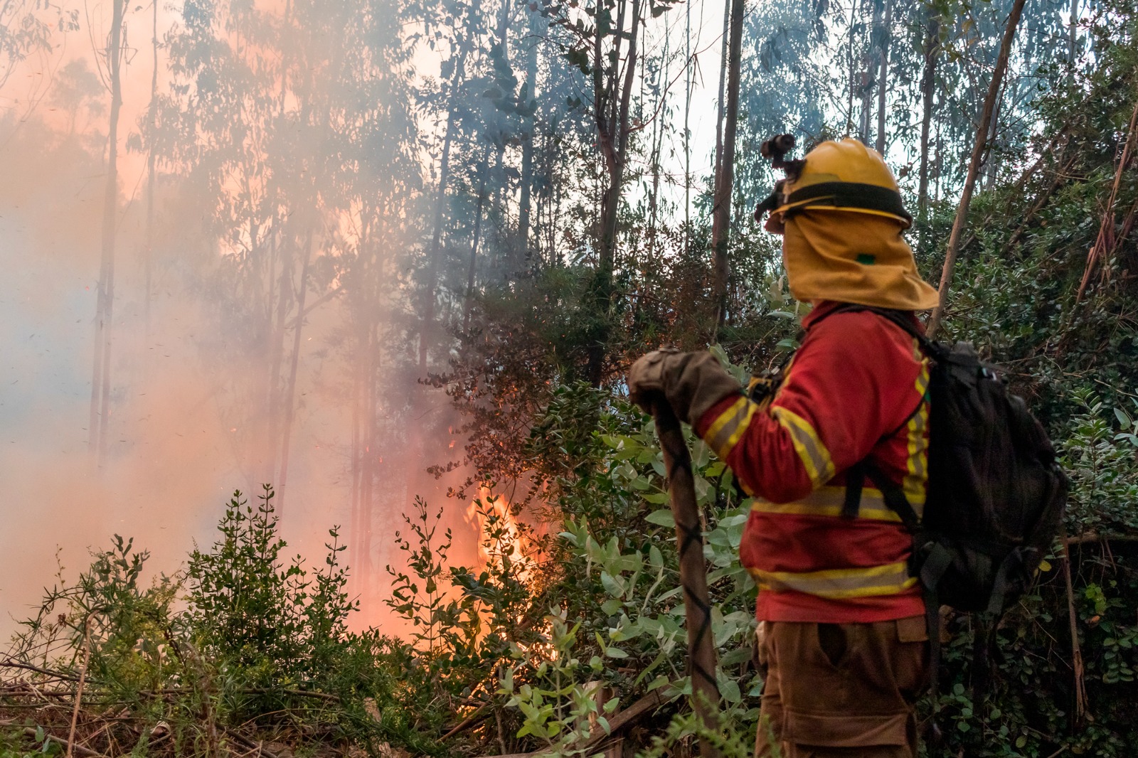 Tramites-post-incendios